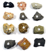 TECH CUT Rocks and Minerals