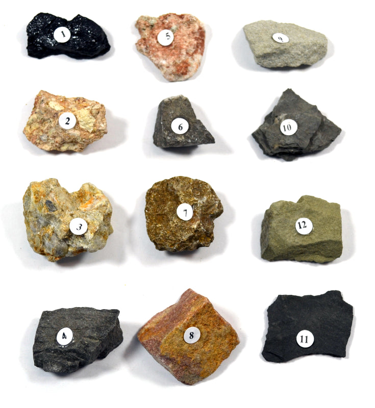 12PK Raw Muscovite Mica Specimen, 1 - Geologist Selected Samples - Ei —  Eisco Labs