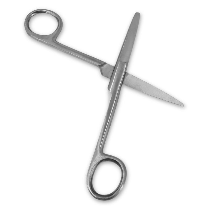 Eisco - Stainless Steel Dissecting Scissors with Blunt End - Safe and Ergonomic Dissecting Scissors - Lab Scissors, Safety Scissors, Precision Cutting Scissors, Dissection Scissors