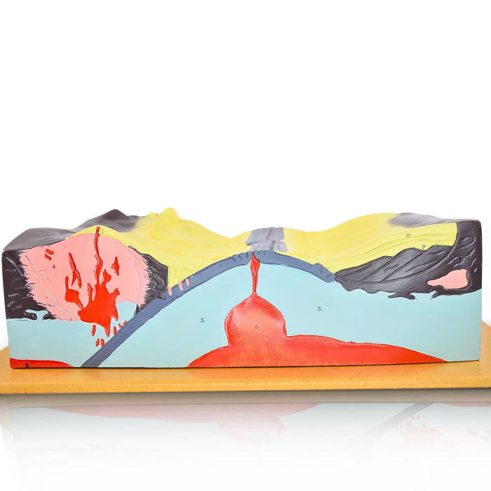 Eisco - Tectonics Model with Labeled Features - Earth's Layers, Active and Passive Margins, Oceanic Ridges, Trenches, and Rift Valley - Visual Geological Aid for Classroom and Educational Use