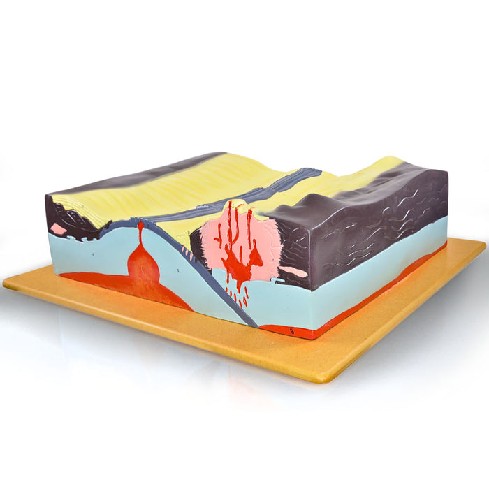 Eisco - Tectonics Model with Labeled Features - Earth's Layers, Active and Passive Margins, Oceanic Ridges, Trenches, and Rift Valley - Visual Geological Aid for Classroom and Educational Use