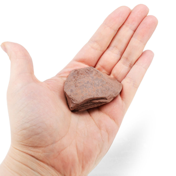 Raw Red Slate, Metamorphic Rock Specimen - Approx. 1"