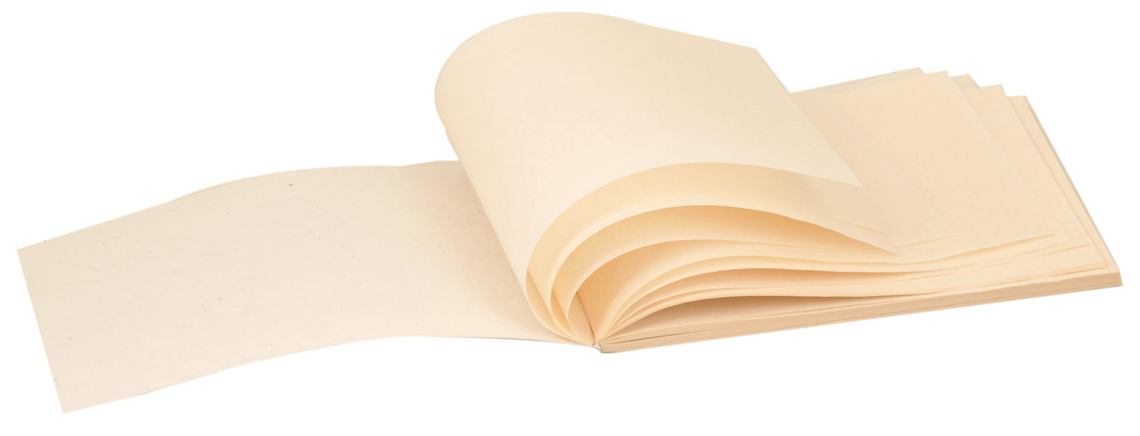 Natural Parchment Paper - 50 Sheets - Desktop Publishing Supplies, Inc.™  Brand