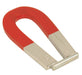 EISCO Horseshoe Magnet, 50x12x5mm