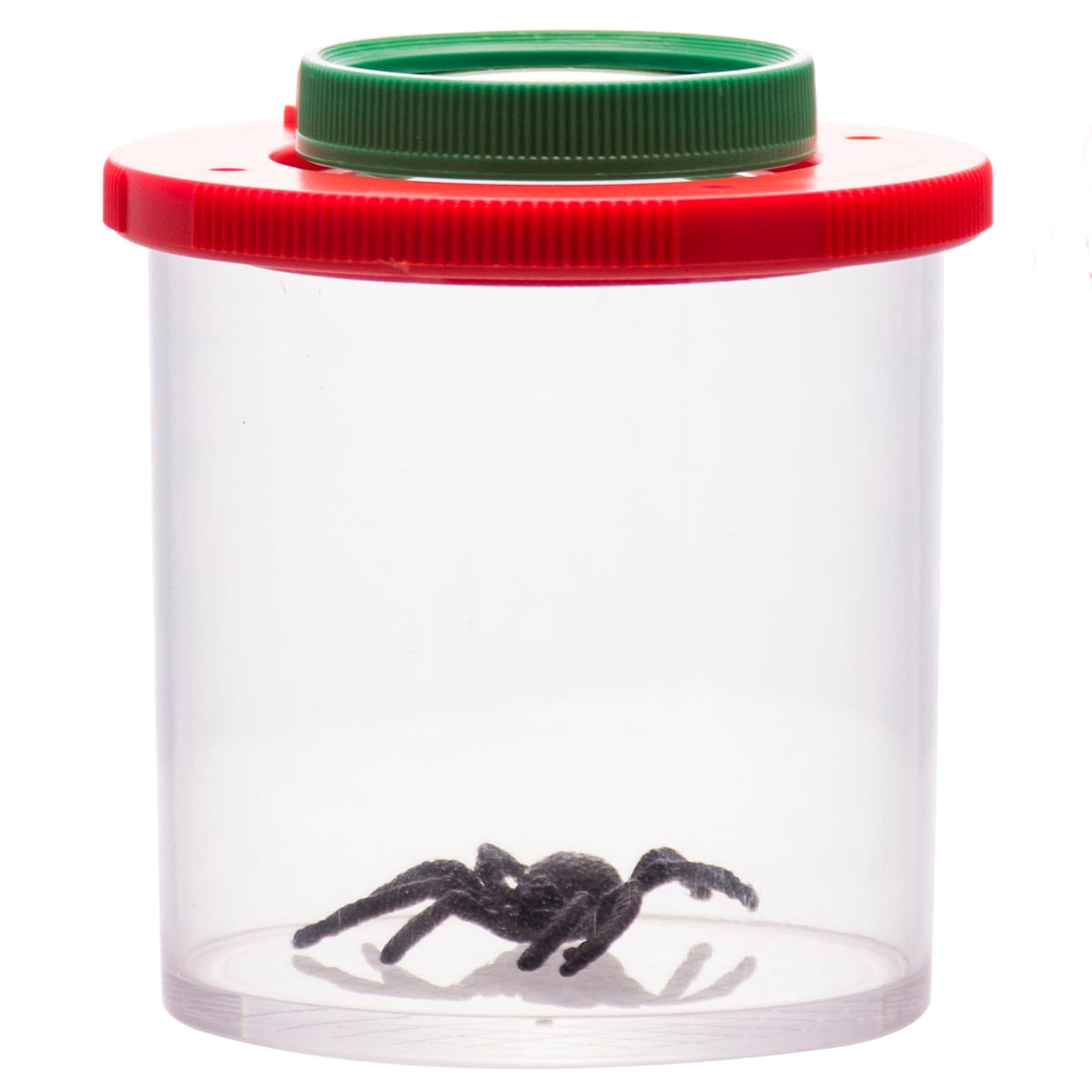 Plastic Transparent Bug Viewer Jar for Kids, with 3X Magnifying
