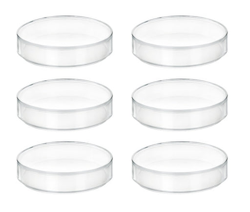 6PK Petri Dishes - 2" Diameter, 0.5" Depth - Polypropylene Plastic