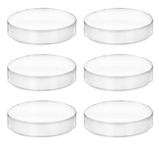 6PK Petri Dishes - 3.75" Diameter, 0.5" Depth - Polypropylene Plastic