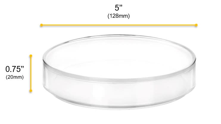 6PK Petri Dishes - 5" Diameter, 0.75" Depth - Polypropylene Plastic