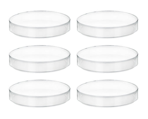 6PK Petri Dishes - 6" Diameter, 0.75" Depth - Polypropylene Plastic