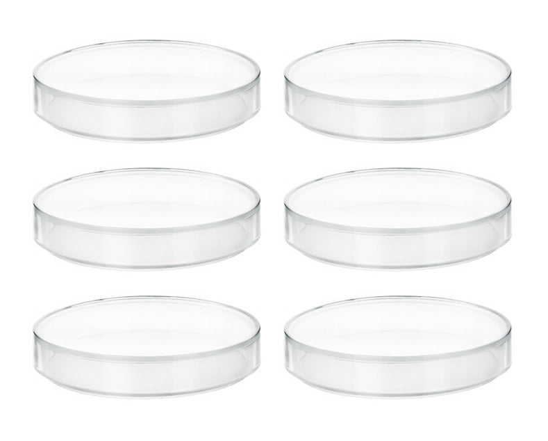 6PK Petri Dishes - 6" Diameter, 0.75" Depth - Polypropylene Plastic