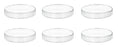 6PK Petri Dishes - 5" Diameter, 0.75" Depth - Polypropylene Plastic