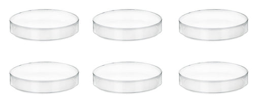 6PK Petri Dishes - 5" Diameter, 0.75" Depth - Polypropylene Plastic