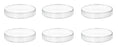 6PK Petri Dishes - 5" Diameter, 0.75" Depth - Polypropylene Plastic