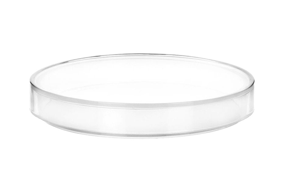 6PK Petri Dishes - 6" Diameter, 0.75" Depth - Polypropylene Plastic