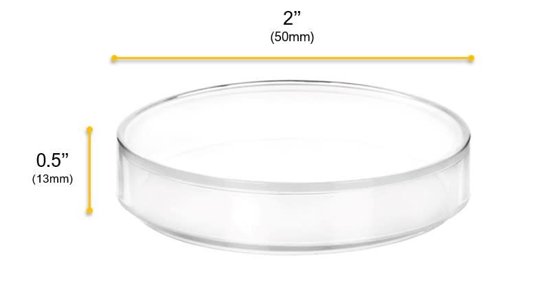 6PK Petri Dishes - 2" Diameter, 0.5" Depth - Polypropylene Plastic