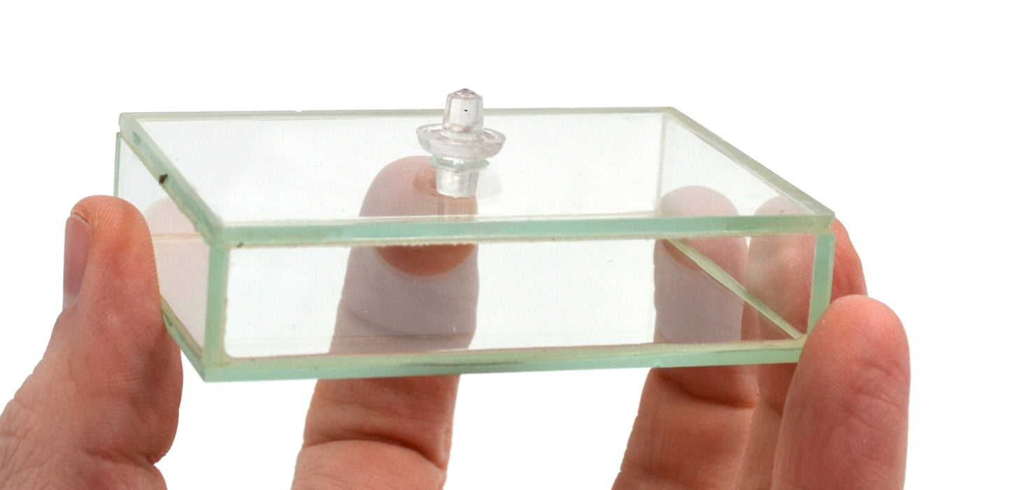 Hollow Glass Prism & Stopper, 3x2x0.7" - Great for Studying Snells Law of Refraction - Eisco Labs